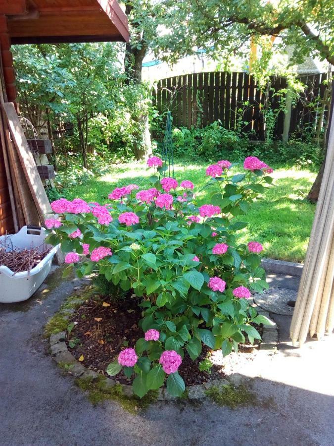 Vila Bbq Ljubljana Exteriör bild